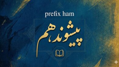 پیشوند هم | هام برای یکسان و یکی بودن