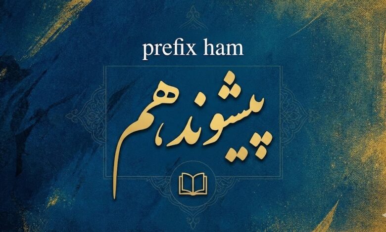 پیشوند هم | هام برای یکسان و یکی بودن